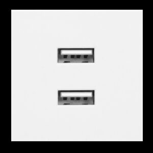 Prise double chargeur USB - 45x45 - Blanc - pour goulotte appareillable