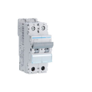 NGN206 Hager - Disjoncteur 2P courbe D - 6A - 6-10kA - NGN - Bornes alignées à vis - 2 modules