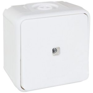 60811 EUR'OHM OXXO Interrupteur va-et-vient lumineux étanche saillie blanc IP55