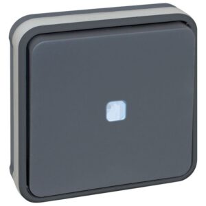60881 EUR'OHM OXXO - Interrupteur va-et-vient lumineux encastré gris étanche IP55